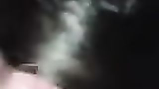 Troia al parcheggio di Caserta