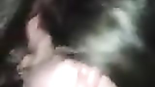 Troia al parcheggio di Caserta