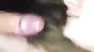 Troia al parcheggio di Caserta