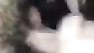 Troia al parcheggio di Caserta