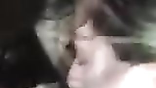 Troia al parcheggio di Caserta