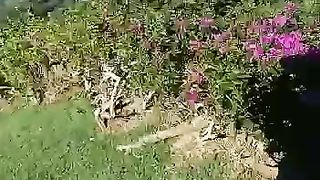 "Quando parte l'embolo"