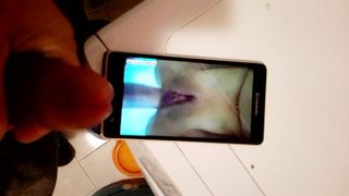 Tributo ad antimocappello