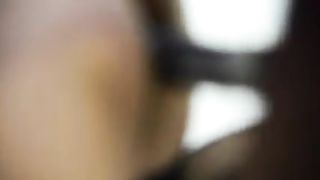 Interrazziale a pecorina