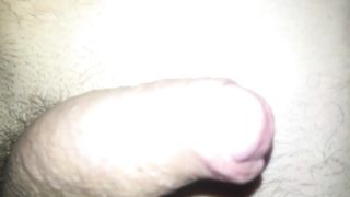 Io e il mio compagno di giochi