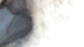 Vengo, vengo, SPINGI!