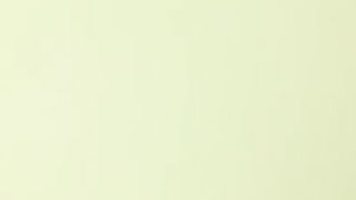 Vengo, vengo, SPINGI!