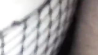 Vengo, vengo, SPINGI!