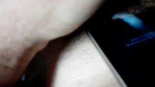 Omaggio alla tettona pisana