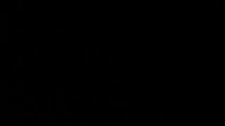 Omaggio alla tettona pisana