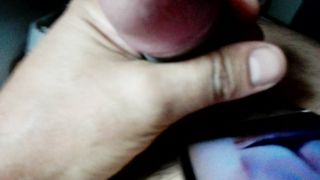 Omaggio alla tettona pisana