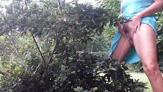 Una pisciatina nel parco