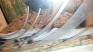 MA QUANTO E' TROIAAA!?!