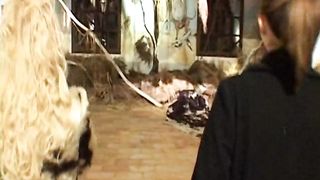 Anteprima del video: Calda studentessa italiana