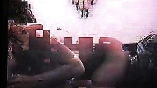 Splendida passera pelosa