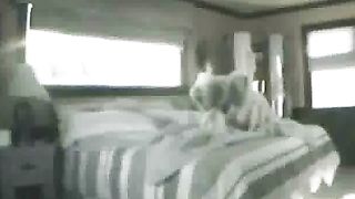 Sesso pomeridiano in un motel