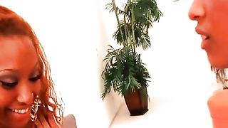 Lesbiche nere si leccano il culo