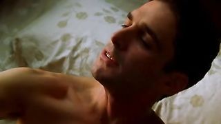 Troia sudamericana pompinara