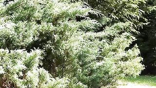 Anteprima del video: Troia arrapata si fa leccare e trombare la fica depilata