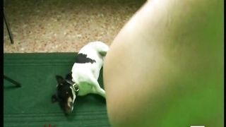 Liceale chiavata sul divanetto