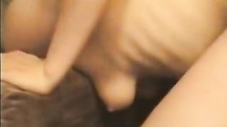 Due porche ninfomani condividono il fidanzato