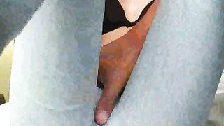 Barista porca rimorchiata da un turista