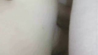 Pupa asiatica trombata sul divano