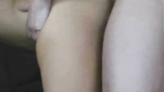 Pupa asiatica trombata sul divano