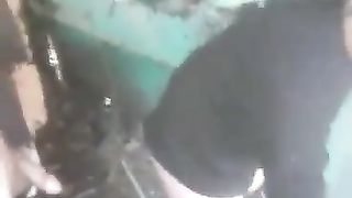 Inculata a pecorella