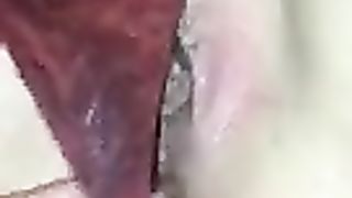 La Figa rotta di mia moglie