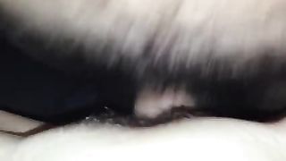 Su e giù,  su e giù