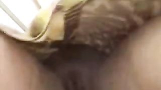 Pulizie di cambio stagione