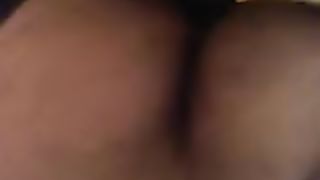 CIUCCIAMELO, MAIALE...