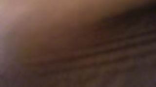 CIUCCIAMELO, MAIALE...