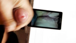 Tributo a orchideaselvaggia