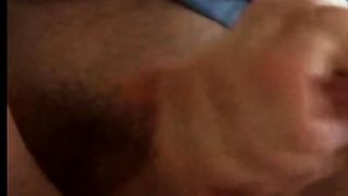 SEGA CON TANTA CREMA