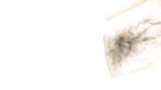 Mia moglie che dorme