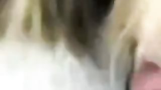 LO VUOI IN BOCCA? SI' TANTO TANTO!