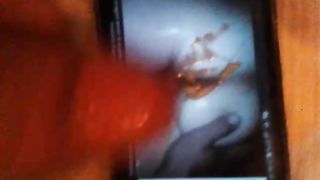 Anteprima del video: Tributo a porca16