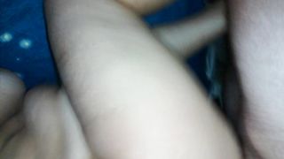 Una pecorina con venuta