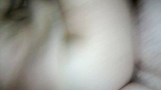 Una pecorina con venuta