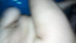 Una pecorina con venuta