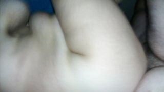 Una pecorina con venuta