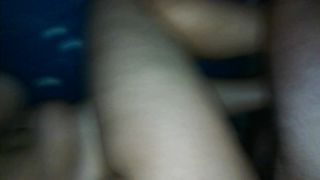 Una pecorina con venuta