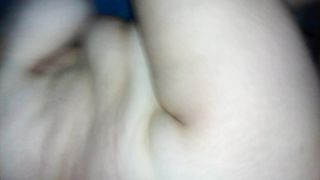 Una pecorina con venuta