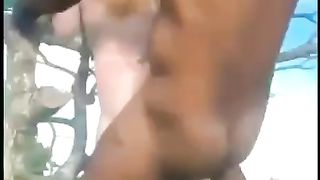 Scopata tra i rami di un albero