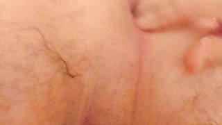 Anal con pino silvestre