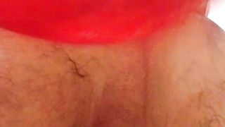 Anal con pino silvestre