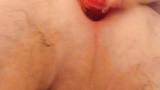 Anal con pino silvestre