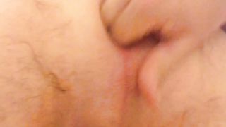 Anal con pino silvestre